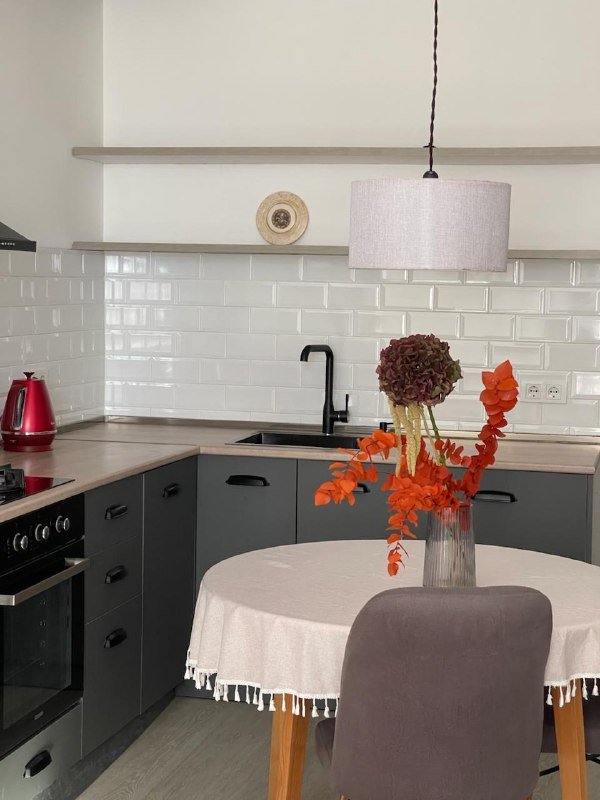 Уютная квартира с мебелью на Багратиони, 130 3