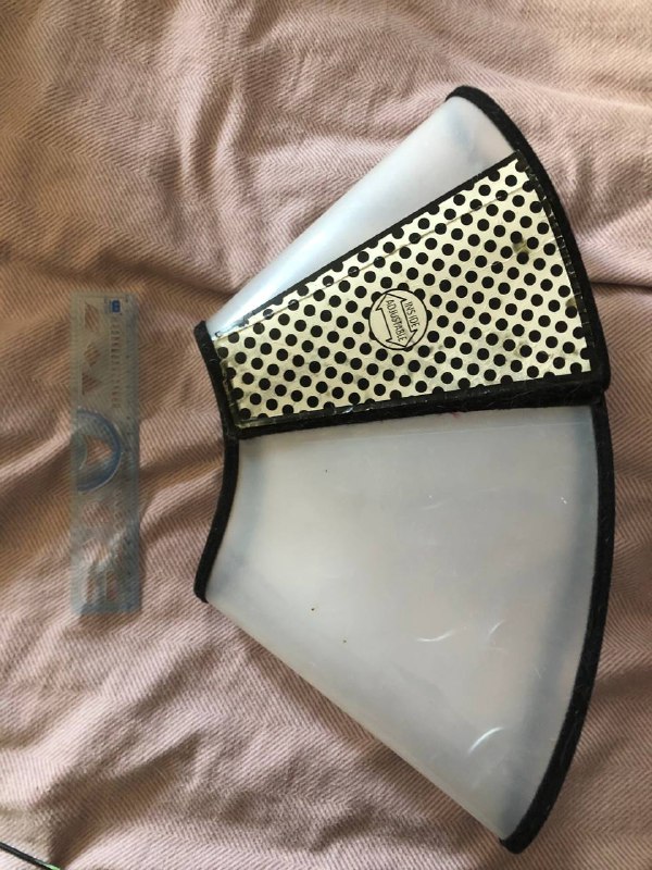 послеоперационные воротники