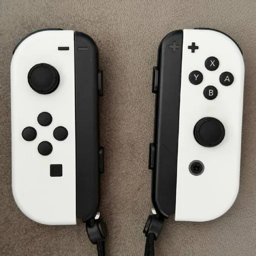 Игры для Nintendo Switch, Joy-Con
