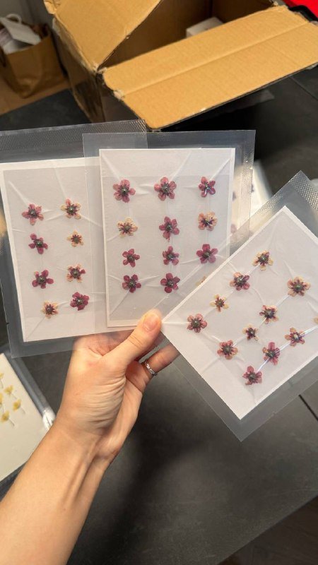 Сухоцветы в вакуумных упаковках, Вереск, Одуванчики, Лепестки василька 7