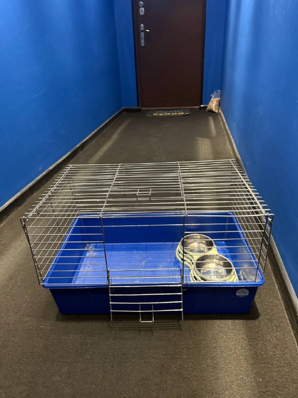 Клетка для морской свинки 2