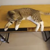 Компьютерный стол 4