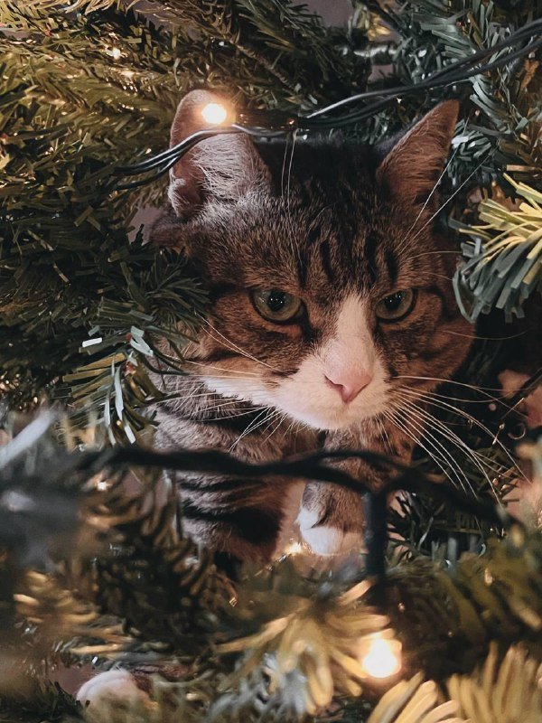 Елка искусственная 180 см 2