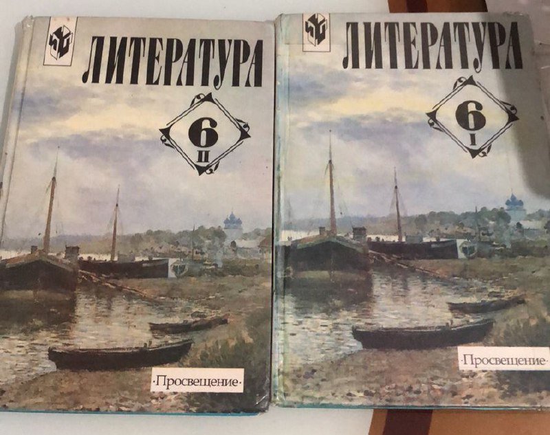 Учебники за 5 и 6 класс, литература 2 в 1 3