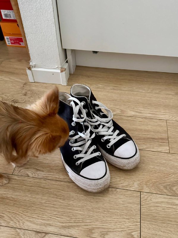 Converse Chuck Taylor All Star Lift Platform