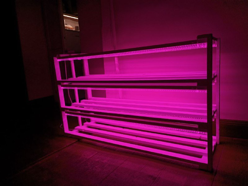 Неоновая полка с фитолампами ручной работы