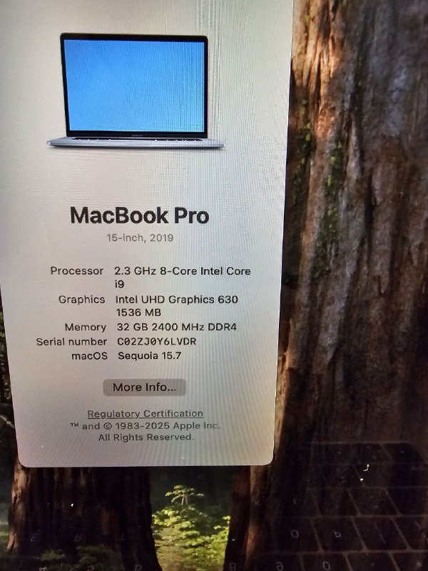MacBook Pro 2019 i9 32GB RAM 2 video cards 5