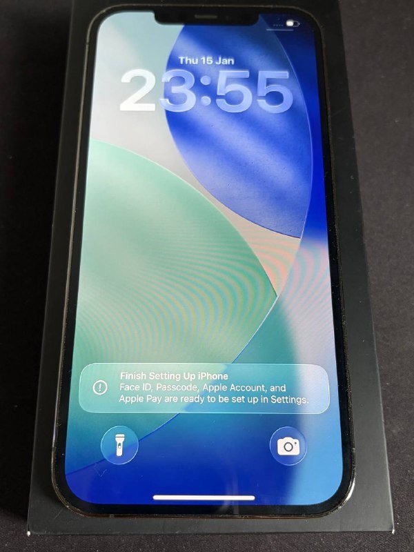 iPhone 12 Pro Max 256 ГБ с чехлом 1