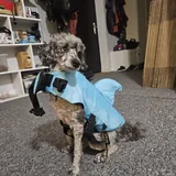 Спасательный жилет для собак 2