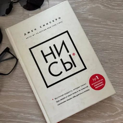 Книга Джен Синсеро НИ СЫ
