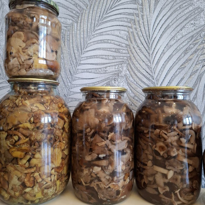Грибы в банках 1 литр, 2 литра, 0.5 литра