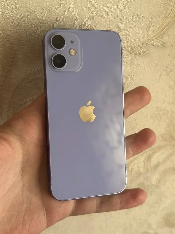 iPhone 12 Mini 1