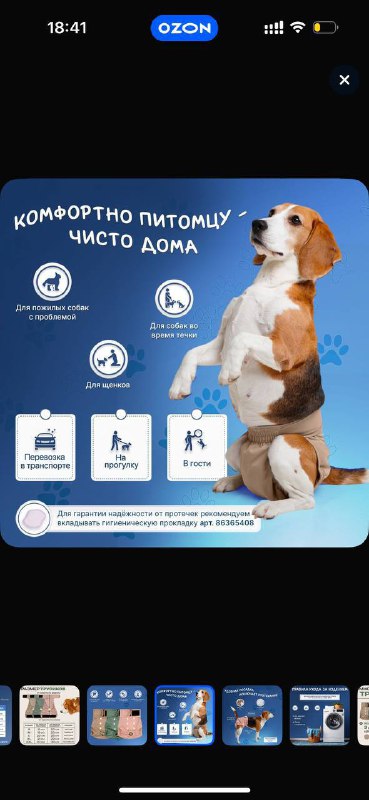 Трусы для собак на средний размер, 3 штуки 6