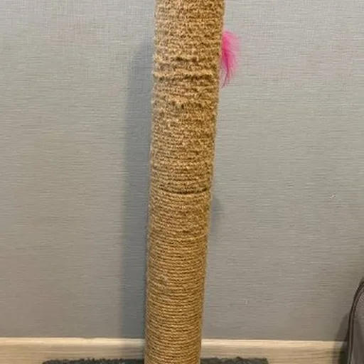 Когтеточка