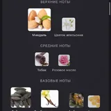 Тревел-флакон парфюма Velvet Tonka BDK Parfums 7 мл 3