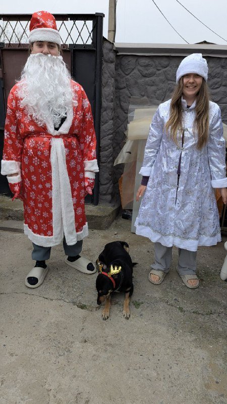 Новогодний набор украшений, костюмы Дед Мороз и Снегурочка, гирлянды 2