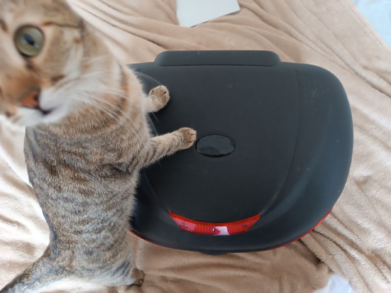 Кофр для мопеда, аккумулятор, светильник, пускозарядное устройство, мопед 5