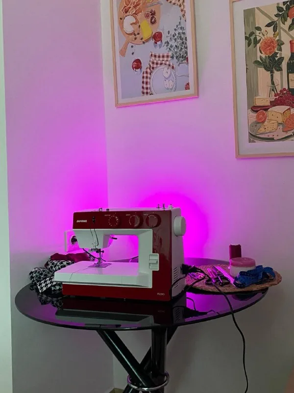 Швейная машинка Janome 1522 1