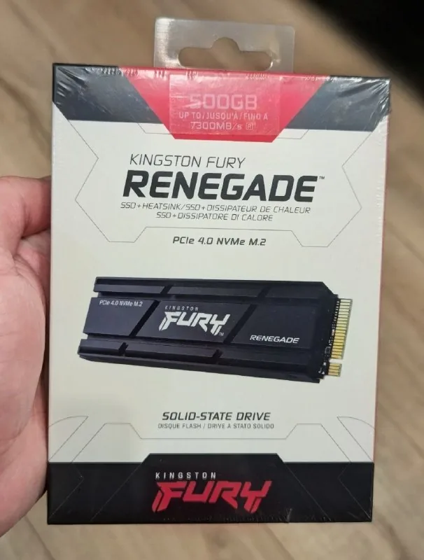 Kingston FURY Renegade SSD M.2 500GB