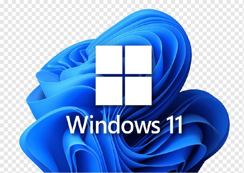 Установка Windows 10/11 и офисных программ с выездом