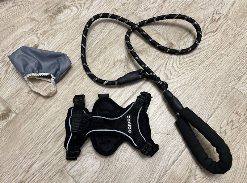 Шлейка S, поводок с карабином, шапочка для душа