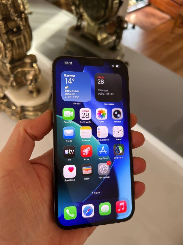 iPhone 13 Pro Max 256GB