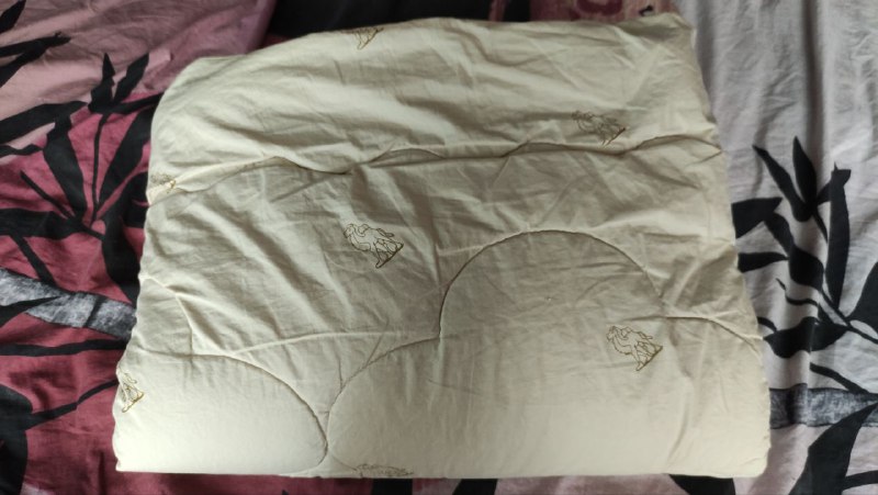 Верблюжье одеяло, подушка 2