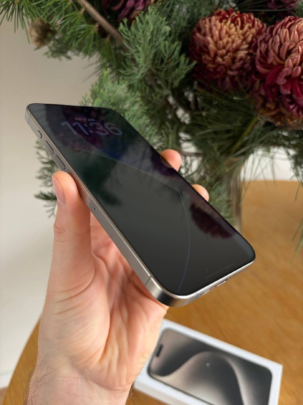 iPhone 15 Pro Max 256 GB серый титан 7