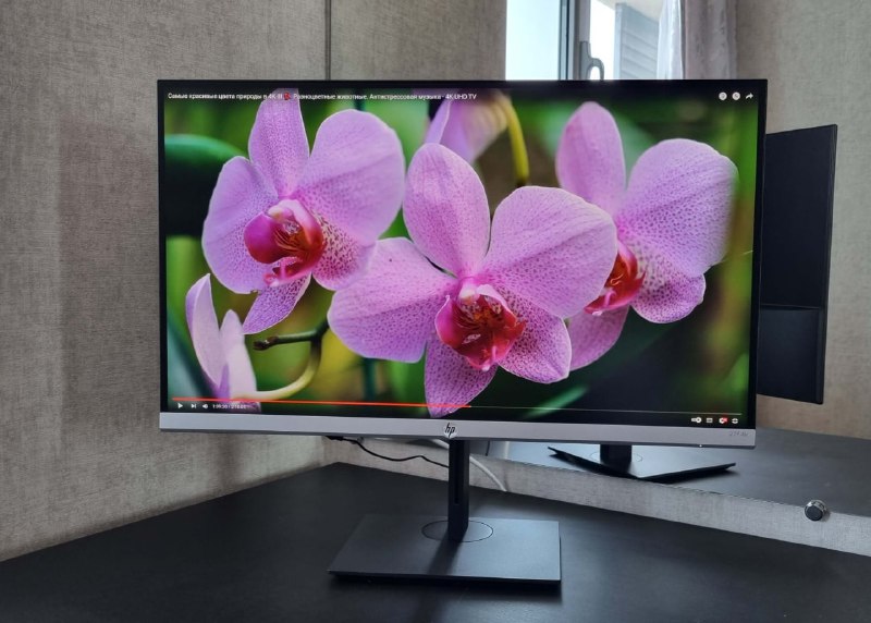 4K HP 27" Monitor