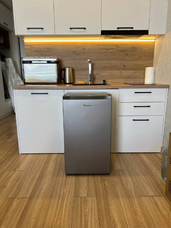 Мини-холодильник Hisense RS13DR-silver 1