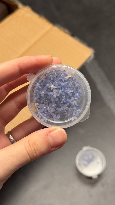 Розы в открытой упаковке 8