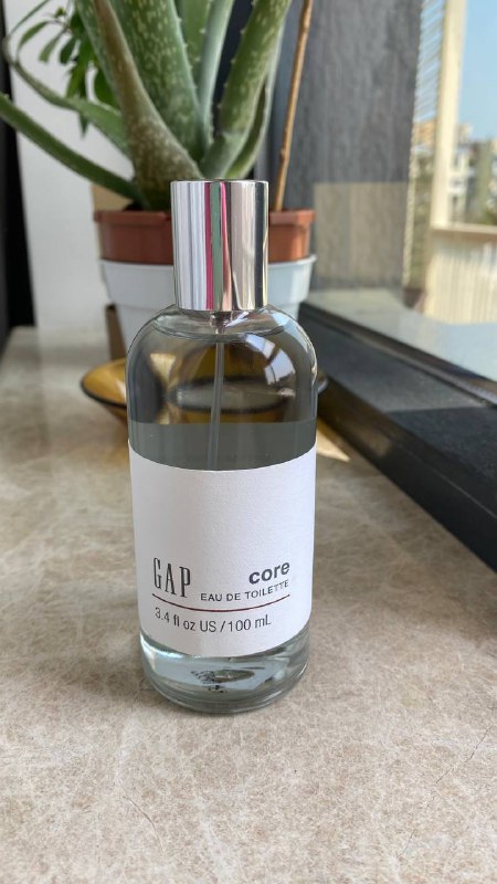GAP Core Eau de toilette мужская туалетная вода 100 мл