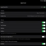 iPad Pro 11 M4 256 GB 8