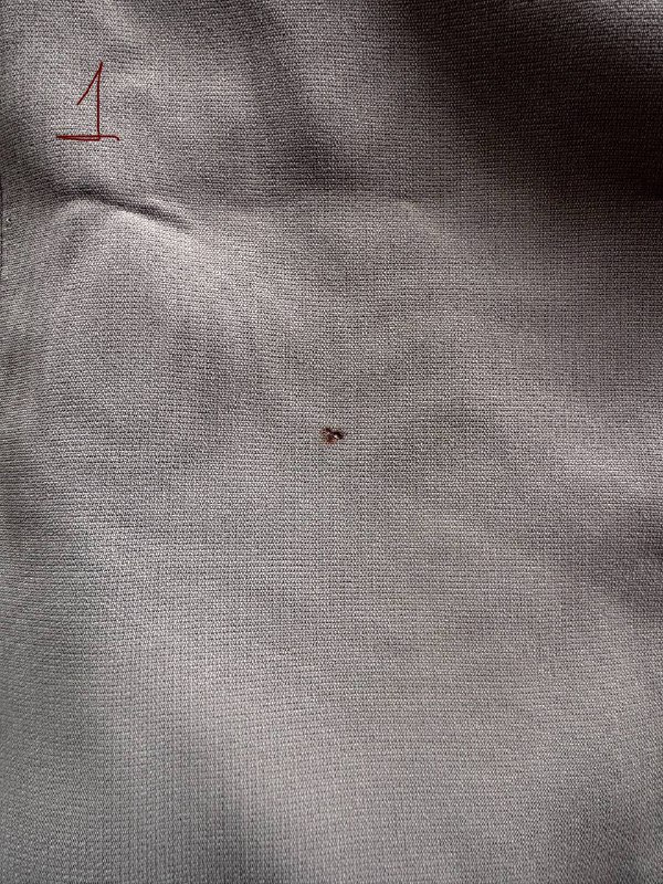 Жилет, свитер Uniqlo, футболка, платье макаронка, юбка H&M, худи Tommy Hilfiger, пиджак малиновый 2