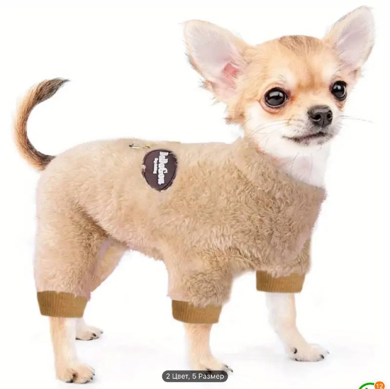 Одежда и средства ухода для маленьких собак 3