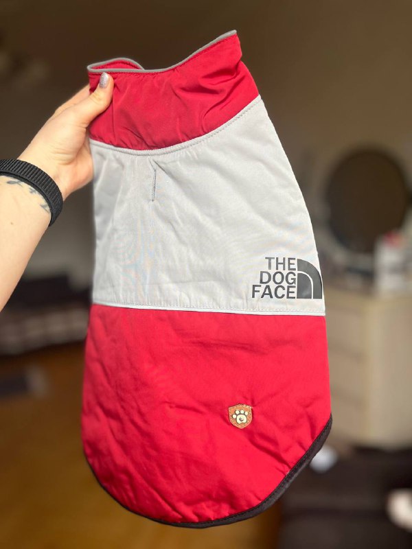 пластмассовая переноска для животного, намордник кожанный, поводок way dog, жилетка для собаки 4