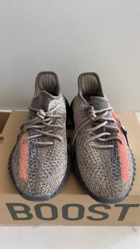 Yeezy Boost 350 1