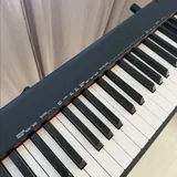 Цифровое пианино Casio CDP-S110 2