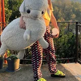 Альпака 2