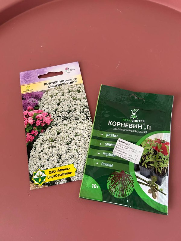 Сингониум, гербера с горшками, корневин и семена 4