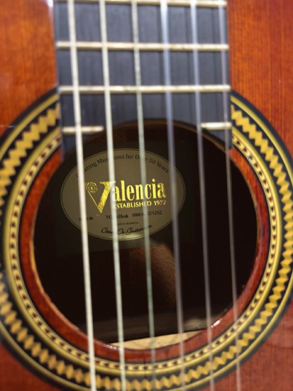 Классическая гитара Valencia VC264 2