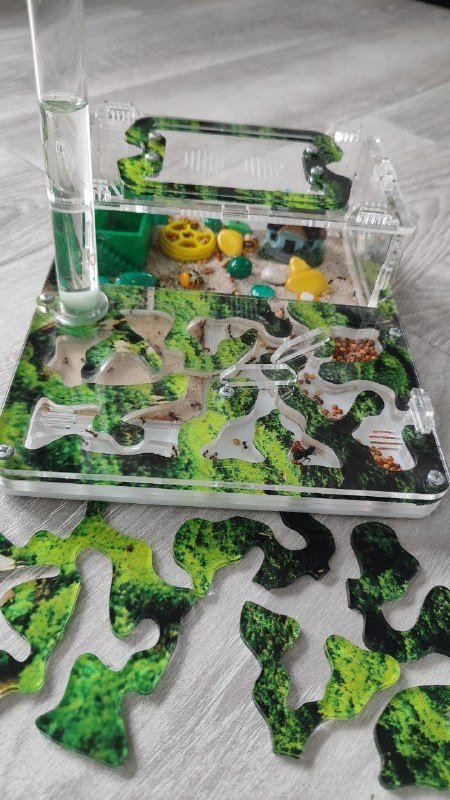 Муравьиная ферма с крупной колонией и кормом