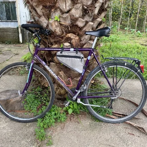 Atala Raffinatezza шоссейный велосипед