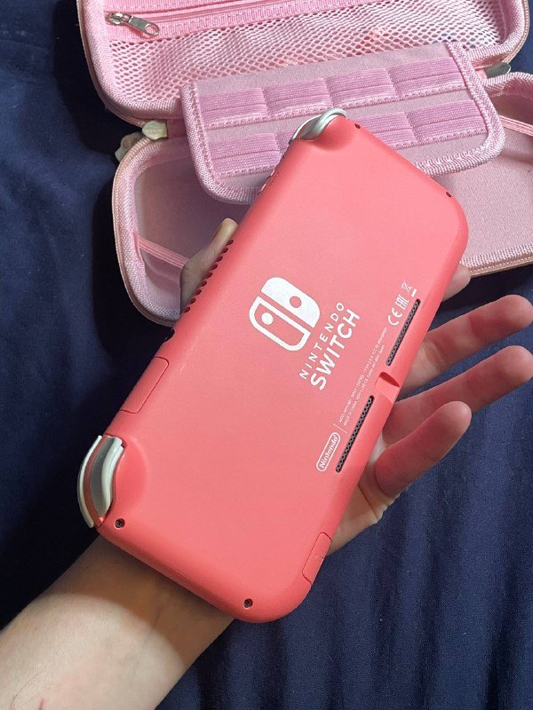 Nintendo Switch Light, игра Skyrim, чехол, насадки, зарядка 4