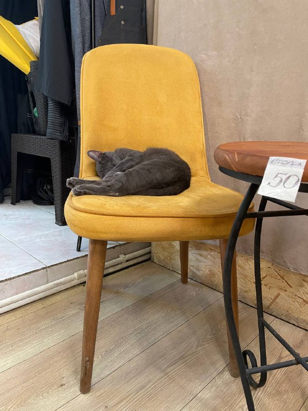 Кофейный столик, два стула 3