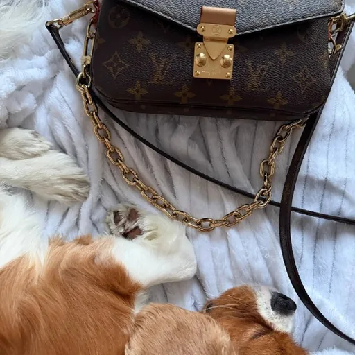 Сумка Louis Vuitton Pochette Métis East-West Monogram