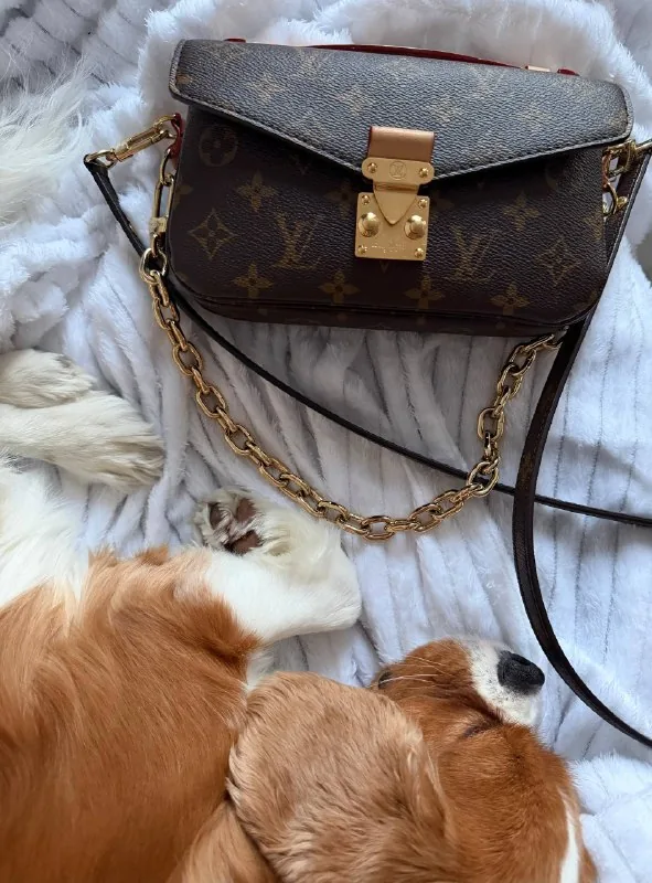 Сумка Louis Vuitton Pochette Métis East-West Monogram 1