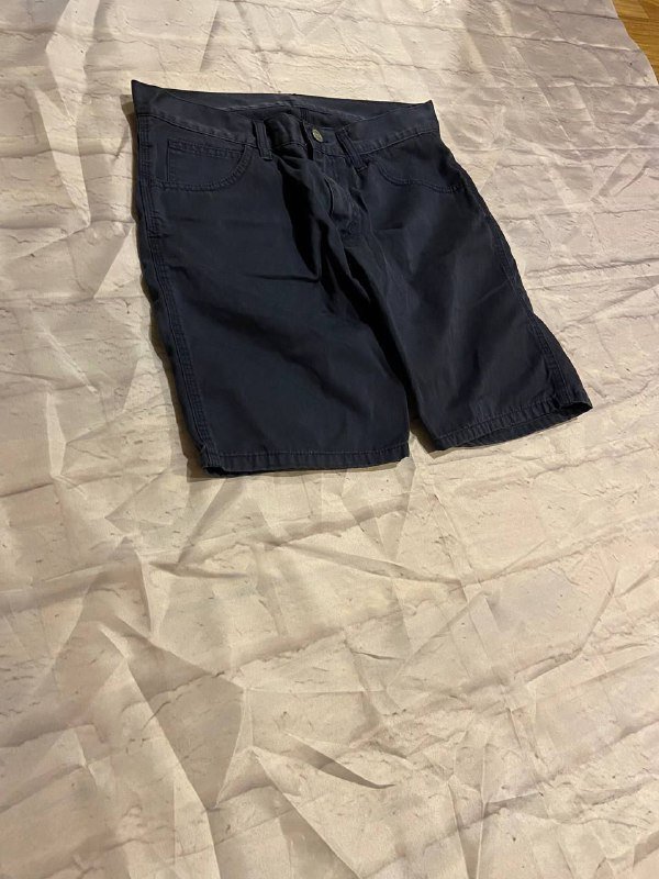 carhartt shorts 3