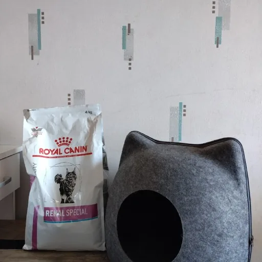 Корм для кошек Royal Canin Renal Special