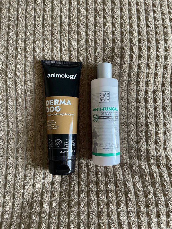 лежанка, лестница, зоошампуни, когтестрижка, пакетики, намордник 3